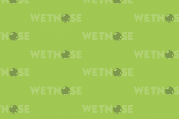 blog-header-bg