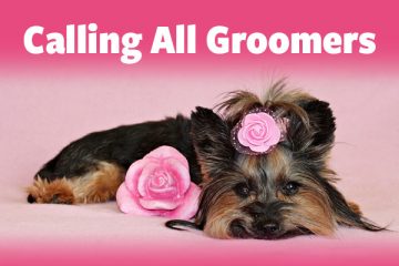 Calling All Groomers