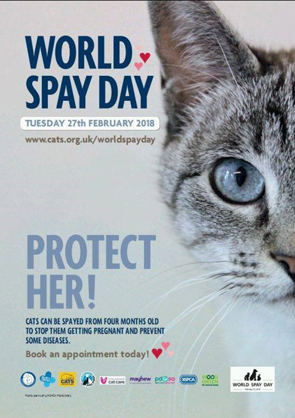 World Spay Day 2018 poster