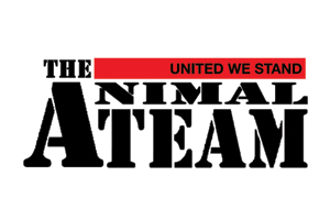 The Animal Team logo