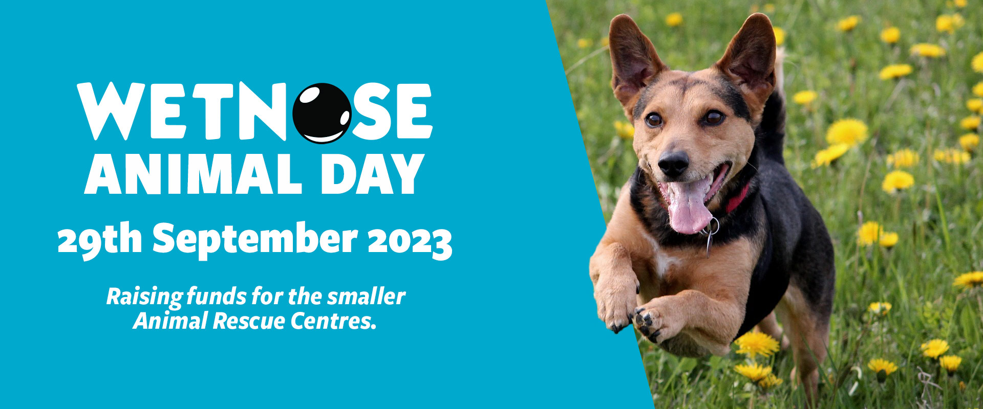 Wetnose Day 2021